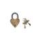 Hello Honey® Matte Finish Brass & Stainless Steel Heart-Shaped Lock with Flowers Set